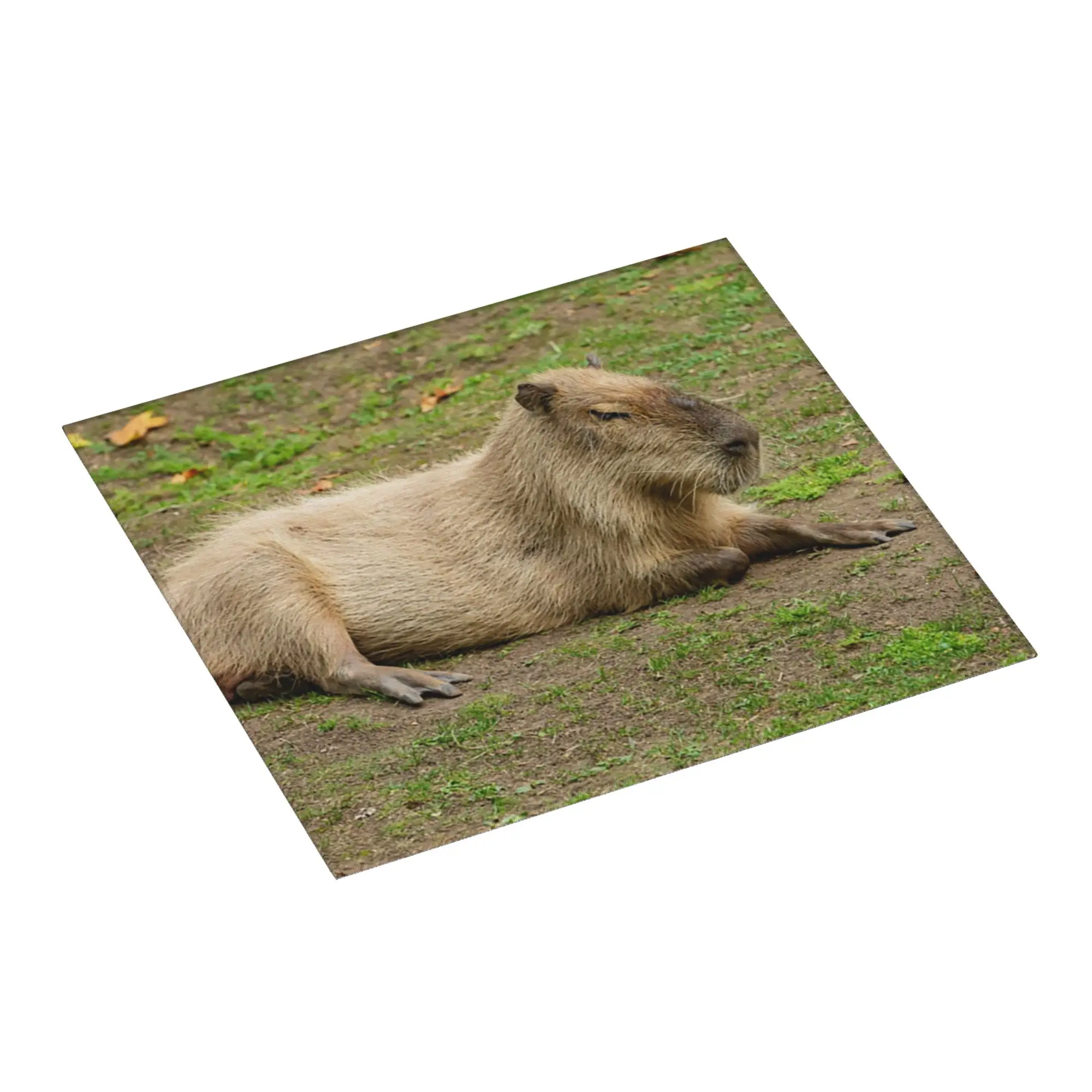 Just Chilled Capybara Non Slip Kitchen Counter Protector Mat Barware Tableware Animal Pet Bathroom Drying Mat For Kitchen