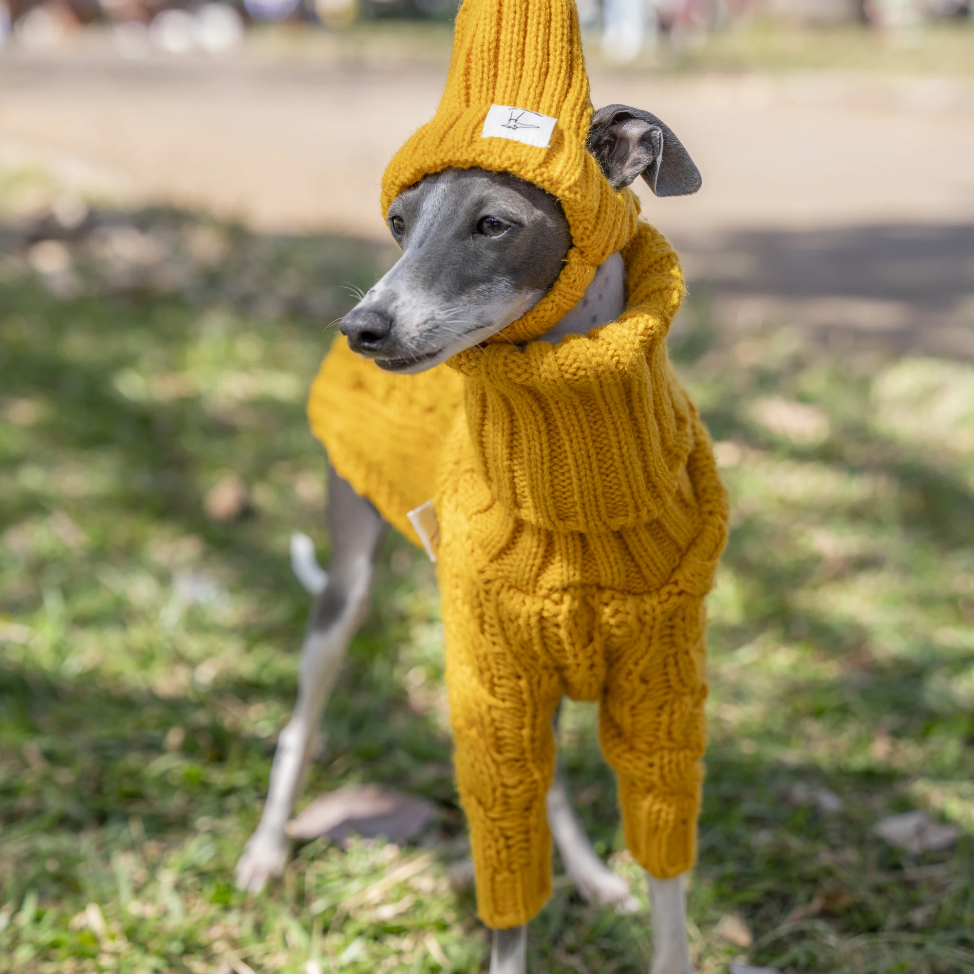 1Pc Hond Winter Verdikte Trui Gebreide Huisdier Coltrui Kleding Comfortabele Warme Hond Kleding Voor Grote Honden Bij Koud Weer