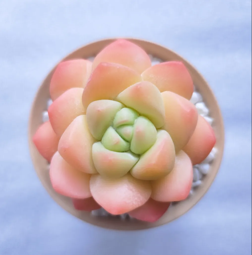 Handmade Succulent Clay Succulent Finished Crystal Immortal Polymer Clay Resin Simulation Succulent Desk Decorations