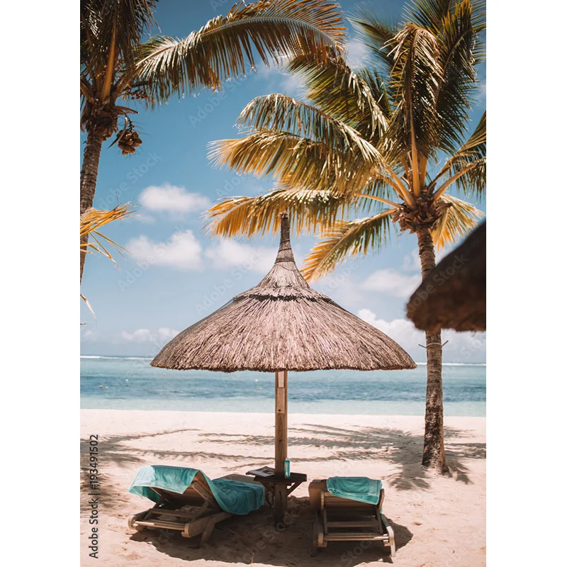 ZHISUXI Tropical Sea Beach Palms Tree Photography Background Natural Scenic Photo Backdrops Photocall Photo Studio 211227-HHB 02