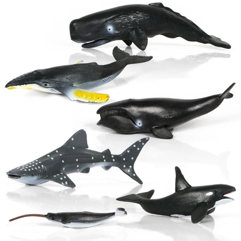 Figuras de acción de ballenas azules fragantes y organismos marinos en miniatura, modelo educativo de ballena, juguetes de decoración para niños