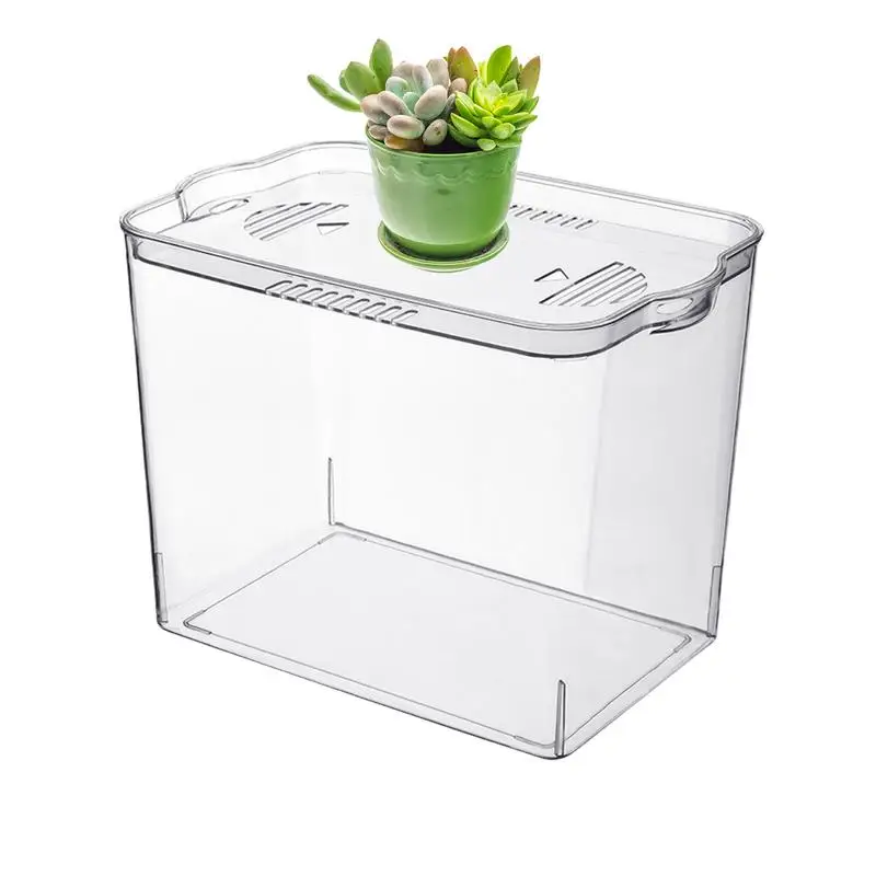 Small Aquarium Transparent Fishbow HouseplantGoldfish Tank Desktop Aquarium For Waterwee Small Fish Shrimp CrabGoldfish Supply