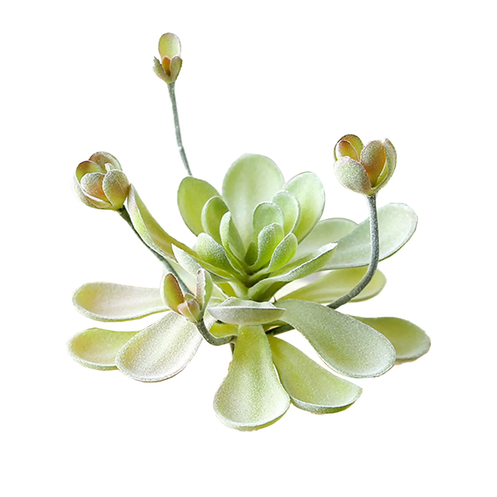 Suculentas Falsas Flocadas para Decoração Interna e Externa, Plantas Artificiais para Sala de Estar, Quarto, Cozinha, Jardim e Escritório