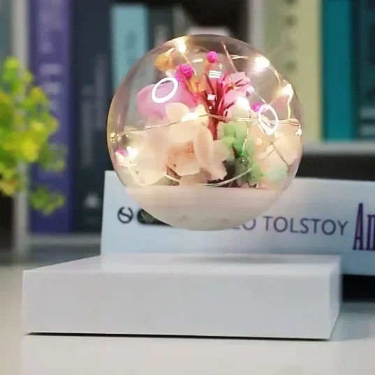 Nova invenção levitação magnética personalizada única casamento engraçado flores preservadas planta para presentes personalizados