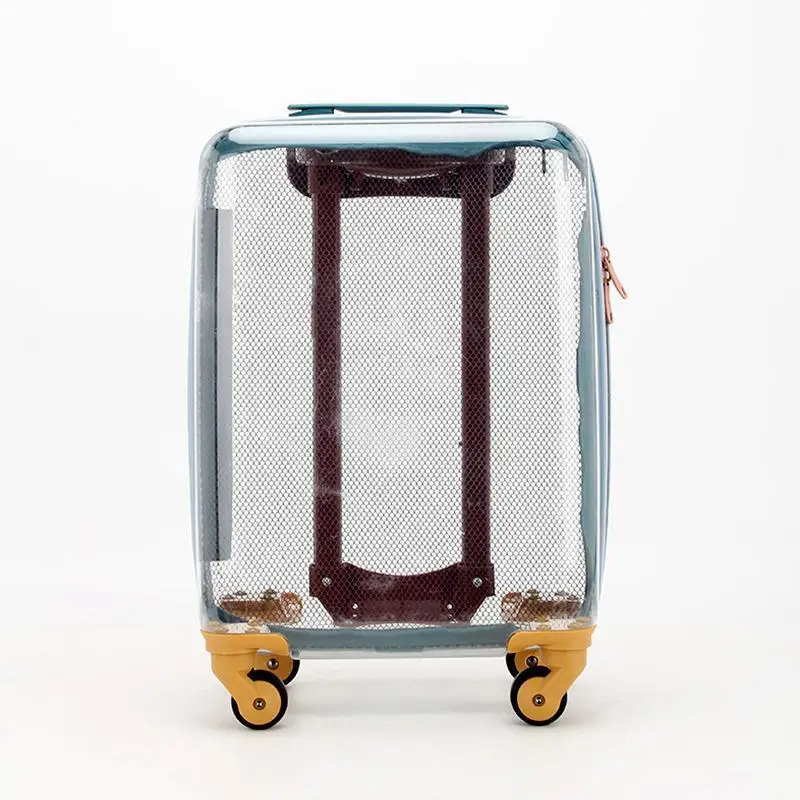 Transparent Suitcase 20 inch Small Light Boarding Luggage Cabin Size Trolley Case