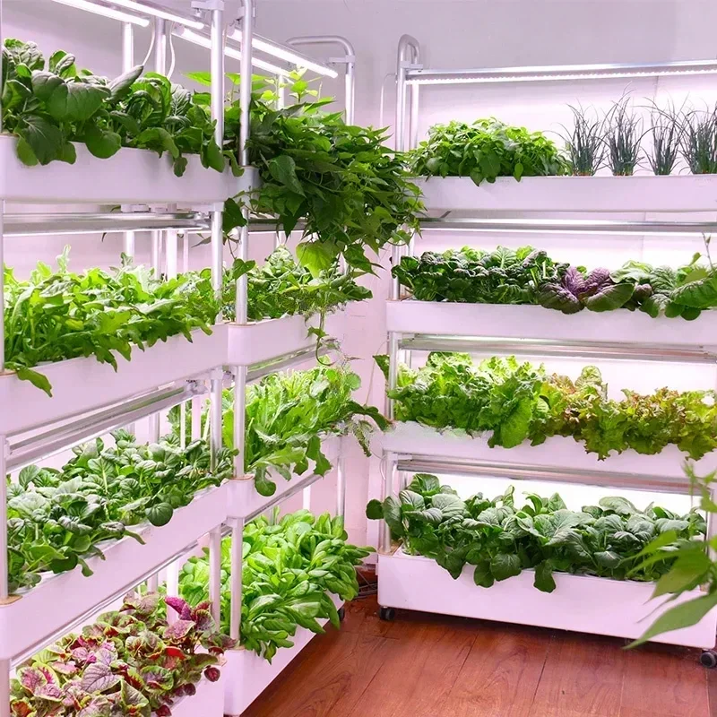 Máquina de plantar vegetales multicapa, sistema hidropónico inteligente, balcón interior, equipo de cultivo Vertical hidropónico sin suelo