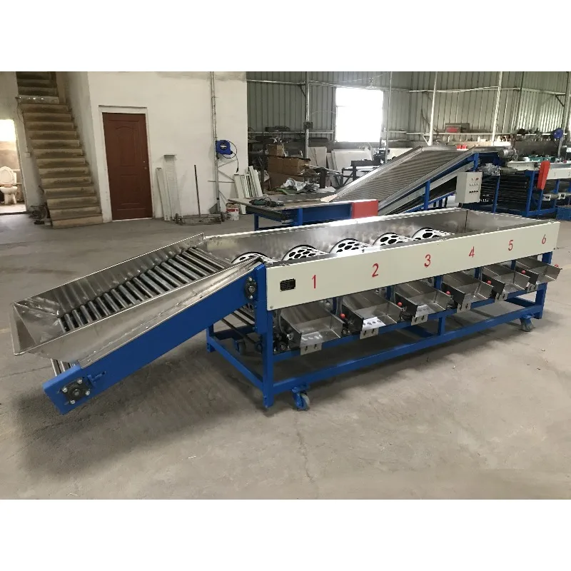 Rotary Drum Fruit Sorting Machine Commercial Size Grading Sorter Mobile Drum Fruit Separating Machine For Farm Workshop