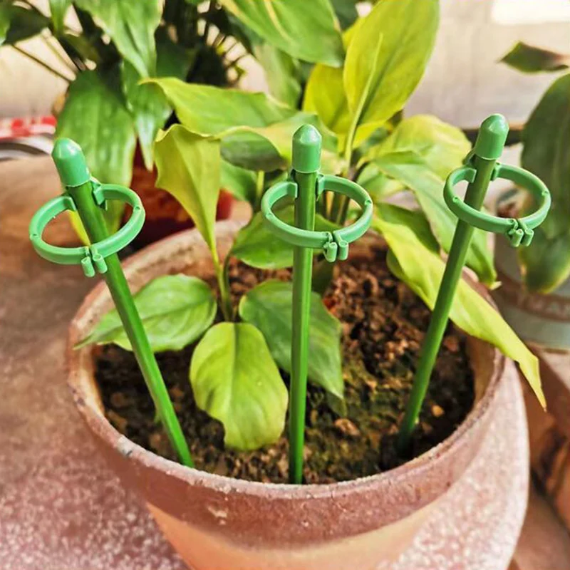 5pcs 30/60/90cm plant Flower Potted Support stand tomato Climbing Holder Stake Stander Fixing Tool Garden for Orchid Bonsai a1