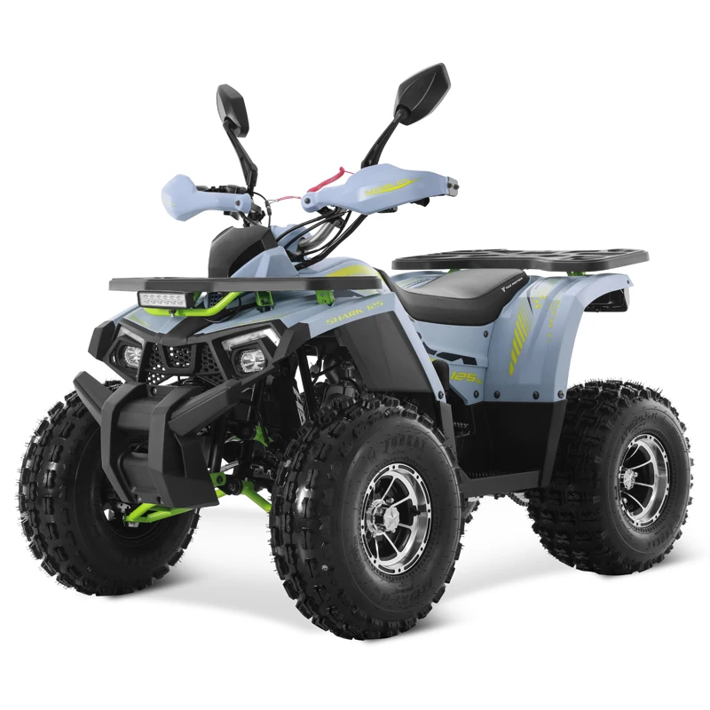 Alloy Rim Chain Drive Automatic 2WD 125cc ATV Disc Brakes