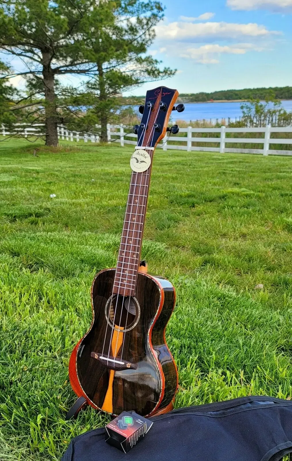 Unique Ziricote ukulele Professional Black Wood bocote Concert Ukulele glossy