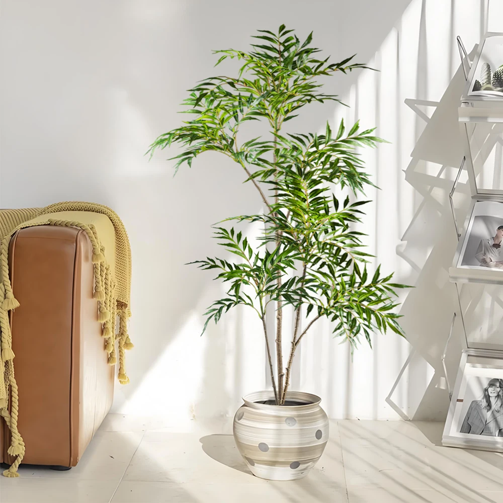 78-140 سنتيمتر نباتات النندينا - مراجعة Dracaena Marginata وسعره