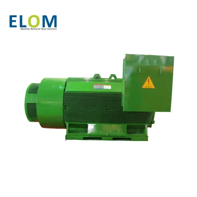 3phase Compact Design Electric Motor 1000kw Pump Motor