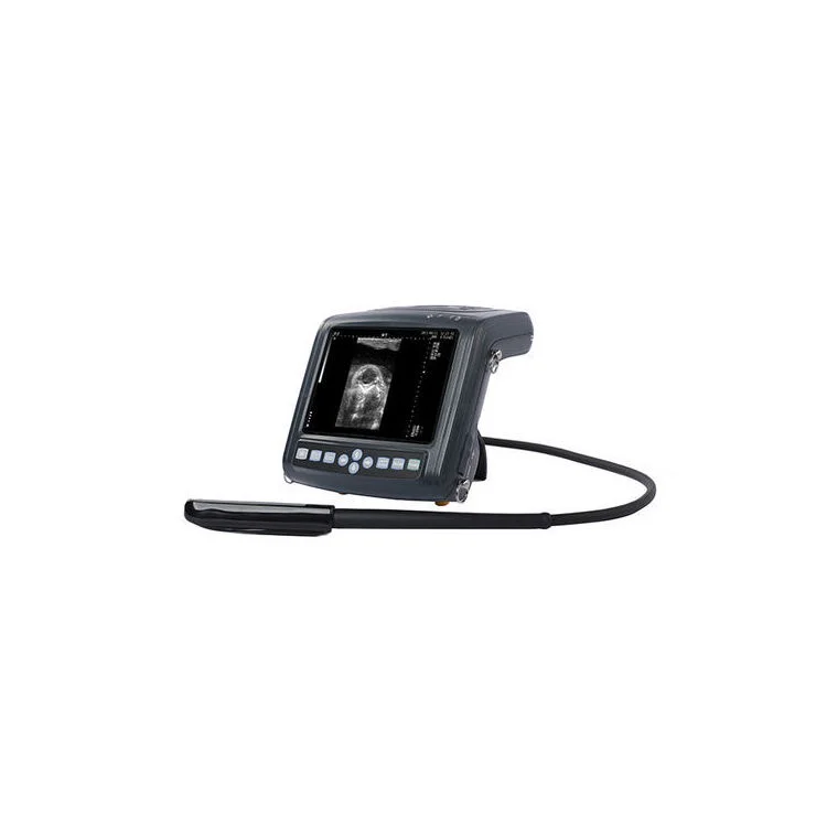 Kaixin KX-5200V Veterinary Medical Equipment for Big Animal Image Scanning Ultrasound Machine for Bovine Equine Ovine Canine