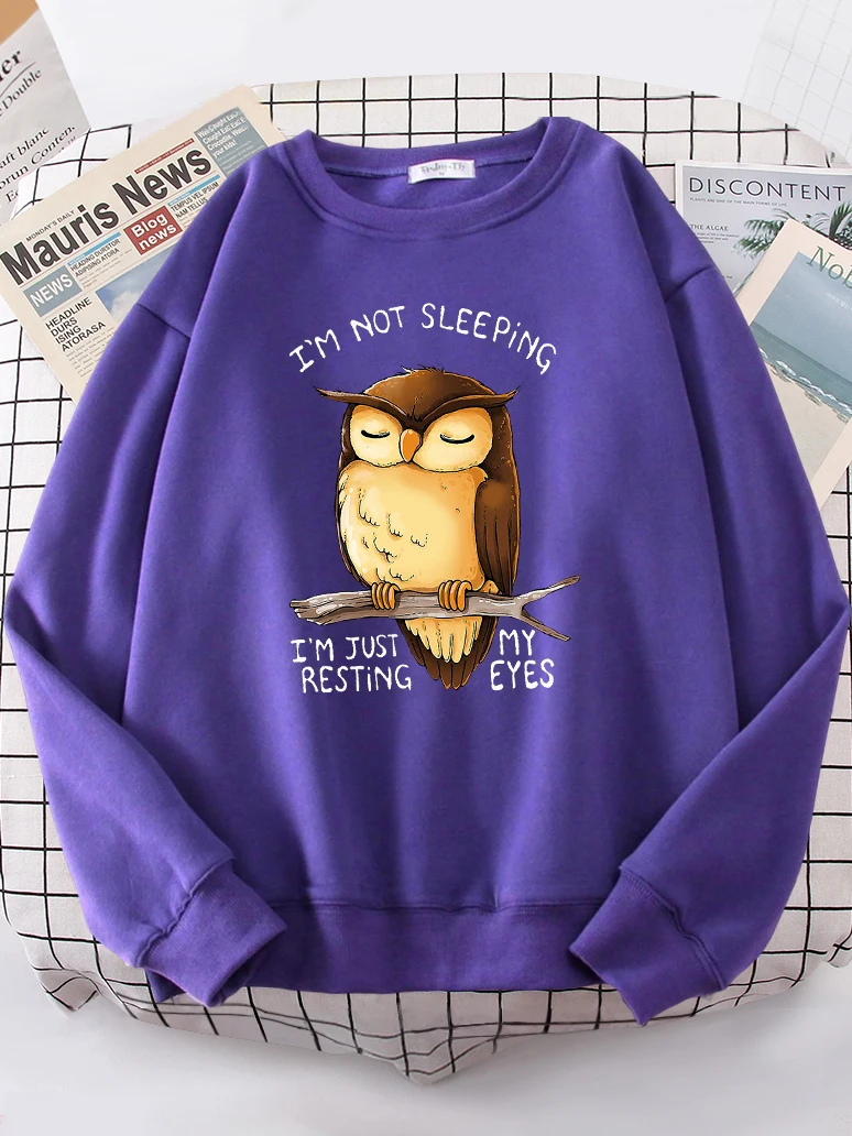 I\'m Just Resting My Eyes Owl Women Hoodie Harajuku Fleece Hoody Fashion Crewneck Sweatshirt vintage Oversize Female Streetwear