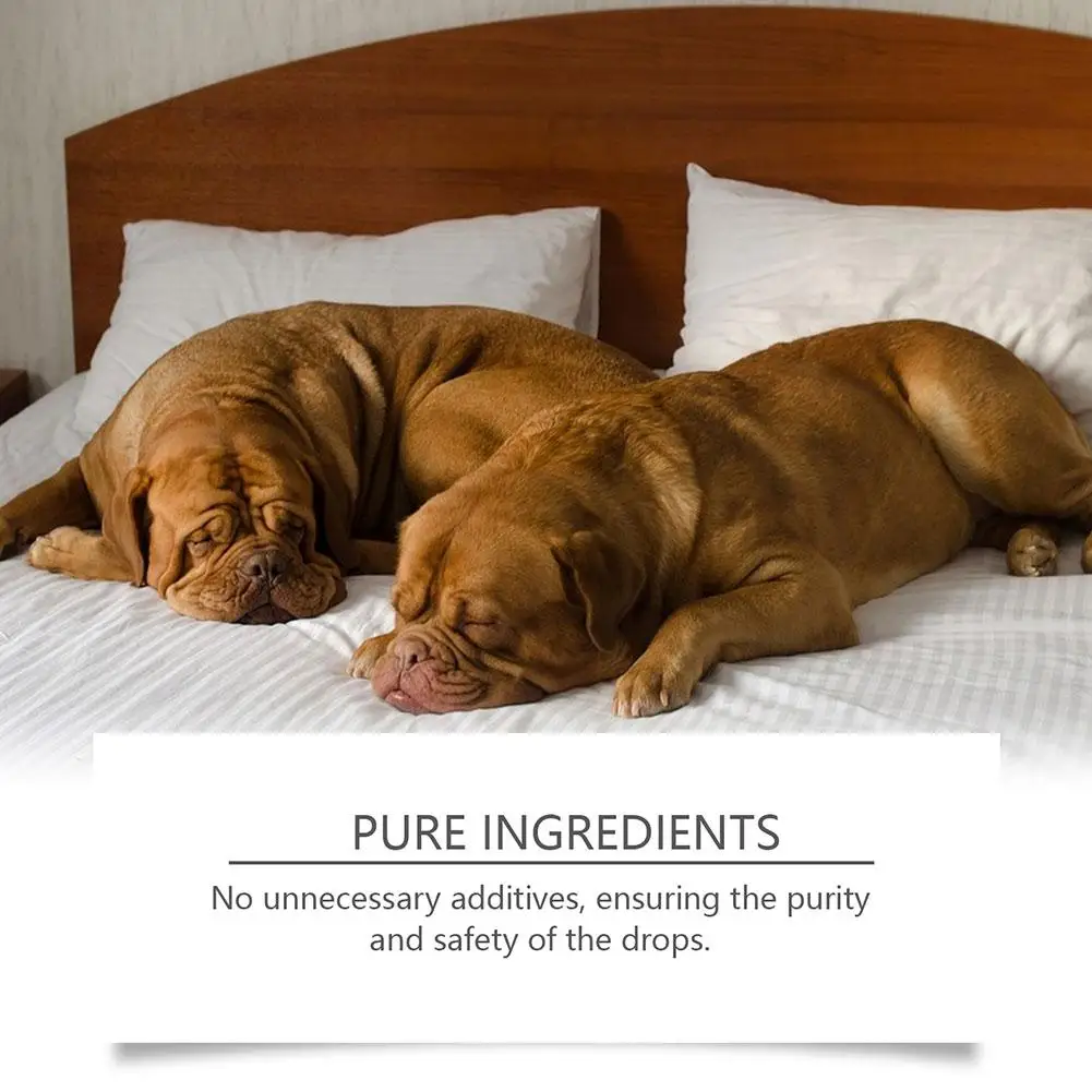60ml Dog Sleep Support Drops Reduce Anxiety Pet Calming Liquid Gentle Natural Mint Sleep Aid for Dogs Night Sedation Care