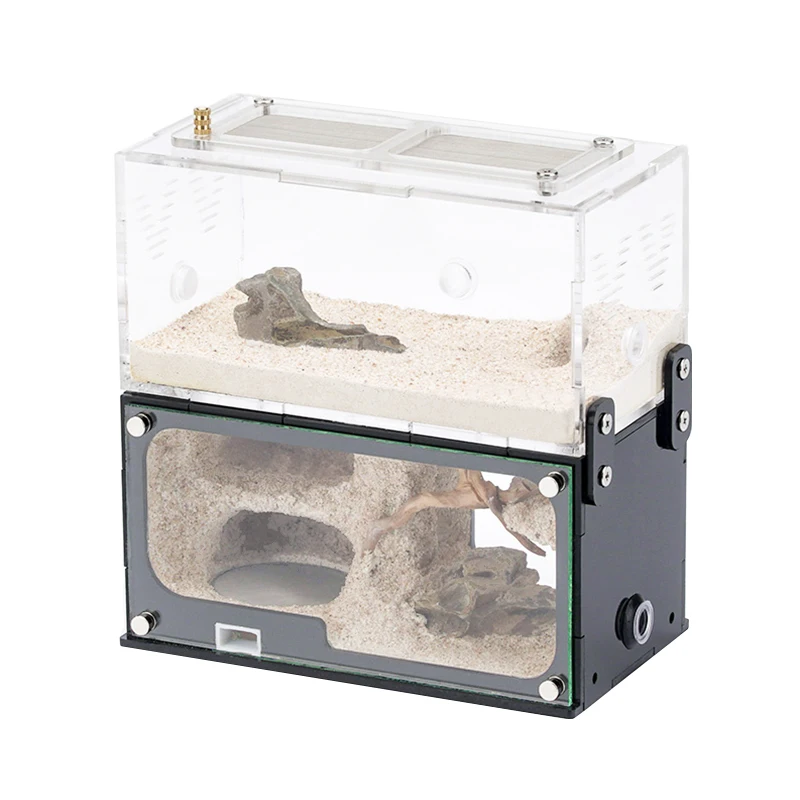 Concrete Ant Farm: Root - Decorated Nest with Unlimited Vertical Expansion for Insect Enthusiasts