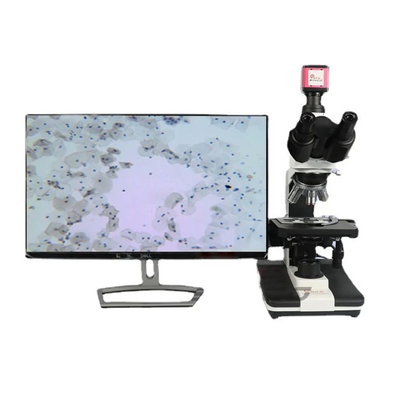Biological microscope Large field eyepiece Imaging Clear operation Medical teaching Research microscope