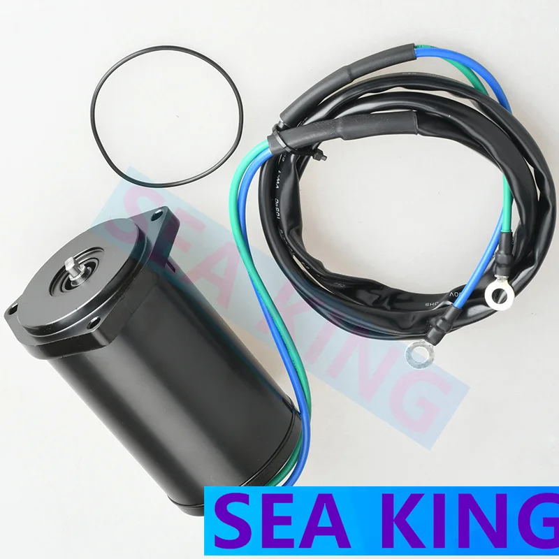 

62X-43880 Trim Tilt Motor For Yamaha Outboard Motor 2 stroke 40HP 50HP 4 Stroke F40 F45 F50 FT50 62X-43880-00 62X-43880-01