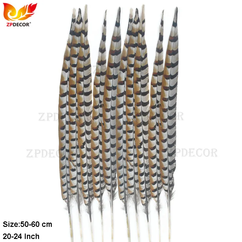 

Reeves Pheasant Feather 50-60cm/20-24 Inch Natural Pluma for Crafts