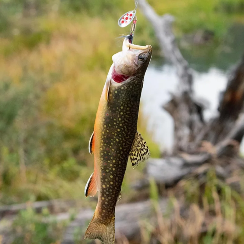 101 قطعة الصيد إغراء سبينر الطعم مع ريشة خطاف ثلاثي الديك الذيل الصيد إغراء ملعقة الطعم ل باس سمك السلمون المرقط سبينر #6