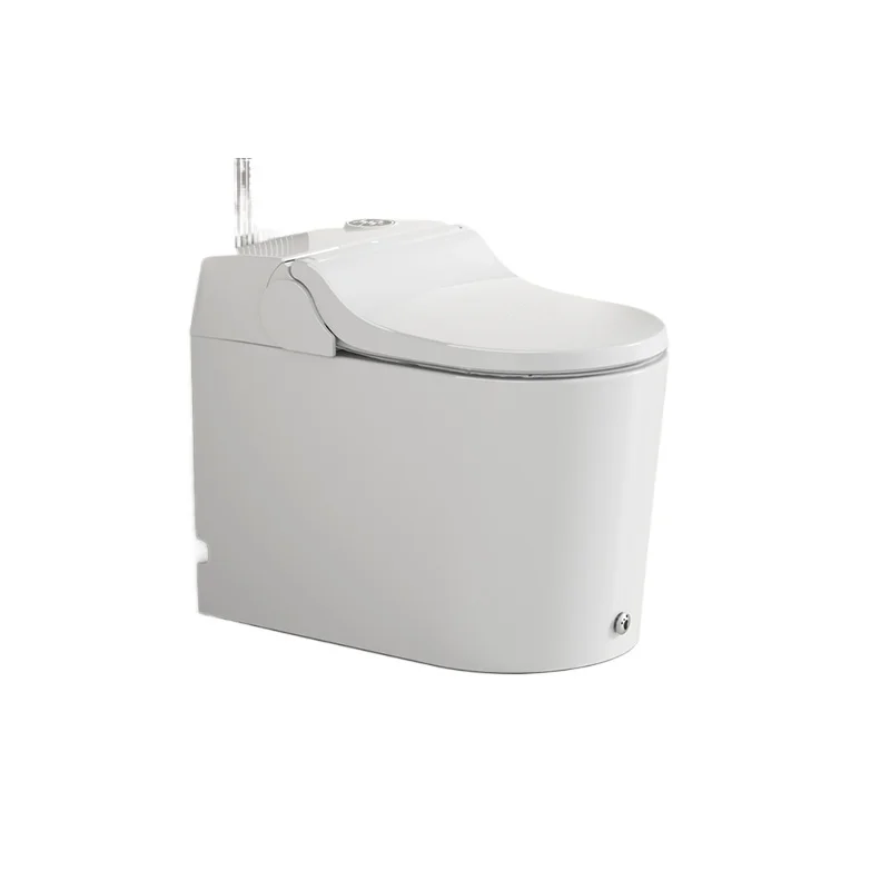 

Бытовой умный туалет Электрическая подача бумаги Без ограничения давления воды Встроенный унитаз Откидной унитаз