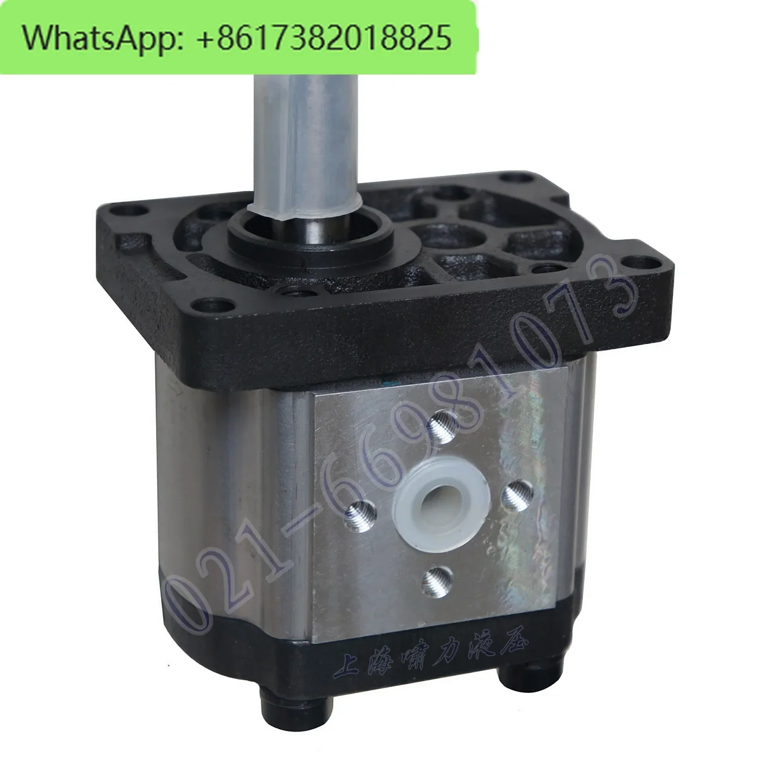 

CBTt-F316F3P17 Hydraulic Pump CBTt-F304/06/10/20/25 F3P17