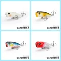 DW121-SET-13