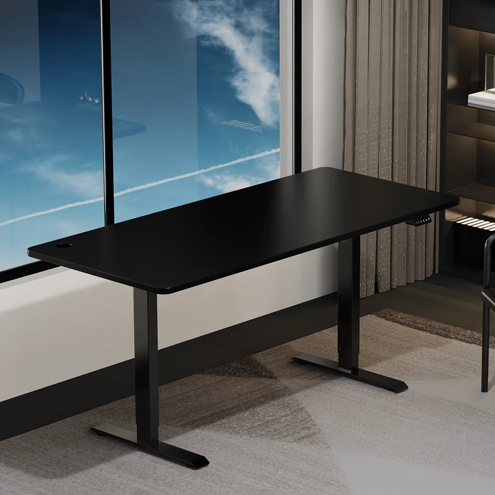 

Sit Stand up Electric Automatic Lifting Height-Adjustable Computer Desk 2 Stages with Dual Motor Stands