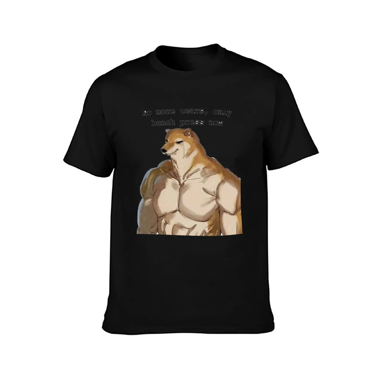 No more tears, only bench press now! T-Shirt, Summer Casual Cotton Tee, Oversized Streetwear Tops, Vintage Graphic Print