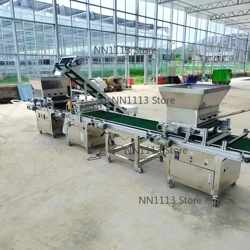 

All-Round Small Seedling Tray Seeder for Gardening And Plant Care