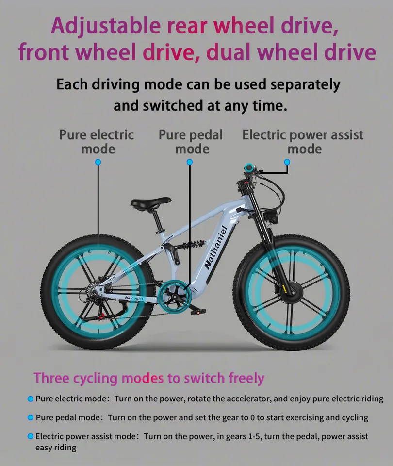 Nathaniel SYR09 Dual Motor 2000W Electric Bike 48V 40Ah Mountain E-Bike 26*4.0 Fat Tire All Terrains Off-Road Electric Bicycle image 18