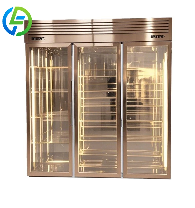 Customize Air Cooling Mode Beef Aging Freezer Refrigerator Homemade & Restaurant Use Meat & Fridge Dry Ager