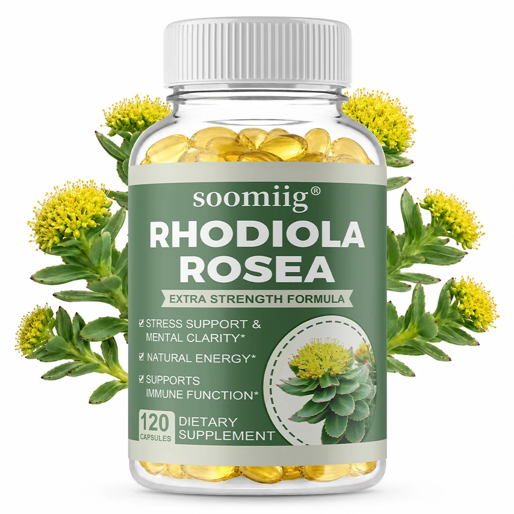 Rhodiola Rosea Supplement – for Stress Relief, Sustained Energy, Mental Focus & Cognitive Performance, Daily Wellness Support