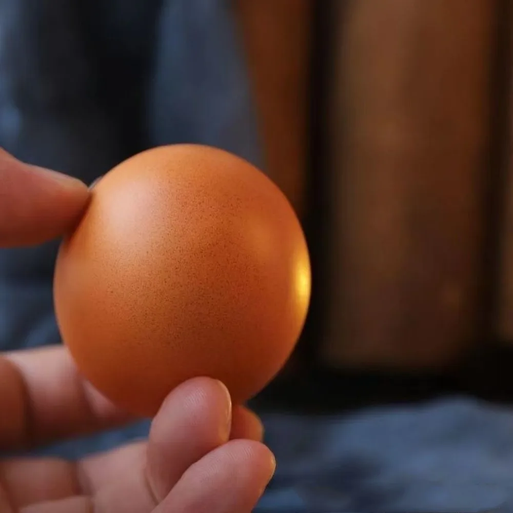 Creative Shibako Dog Egg Squeeze Fidget Toy Shiba Inu Realistic Shape Stress Relief Toy PU Slow Rebound Dog Egg Toy