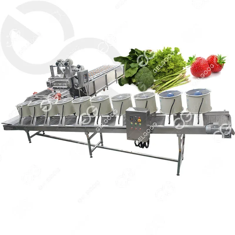آلة تنظيف غسيل الفواكه والخضروات آلات غسيل الخضروات البرية الطازجة أفوكات الفواكه