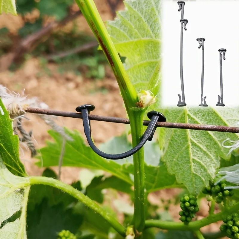 Plant Vine Binding and Fixing Clips, Used for Supporting the Growth of Branches and Hooking Stems in Vegetables, Grapes, Kiwis,