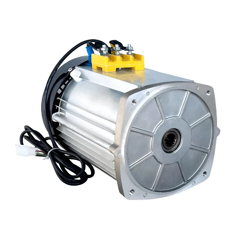 12V 800W BLDC Brushless Waterproof Marine Motor 100 RPM Permanent Magnet Motor