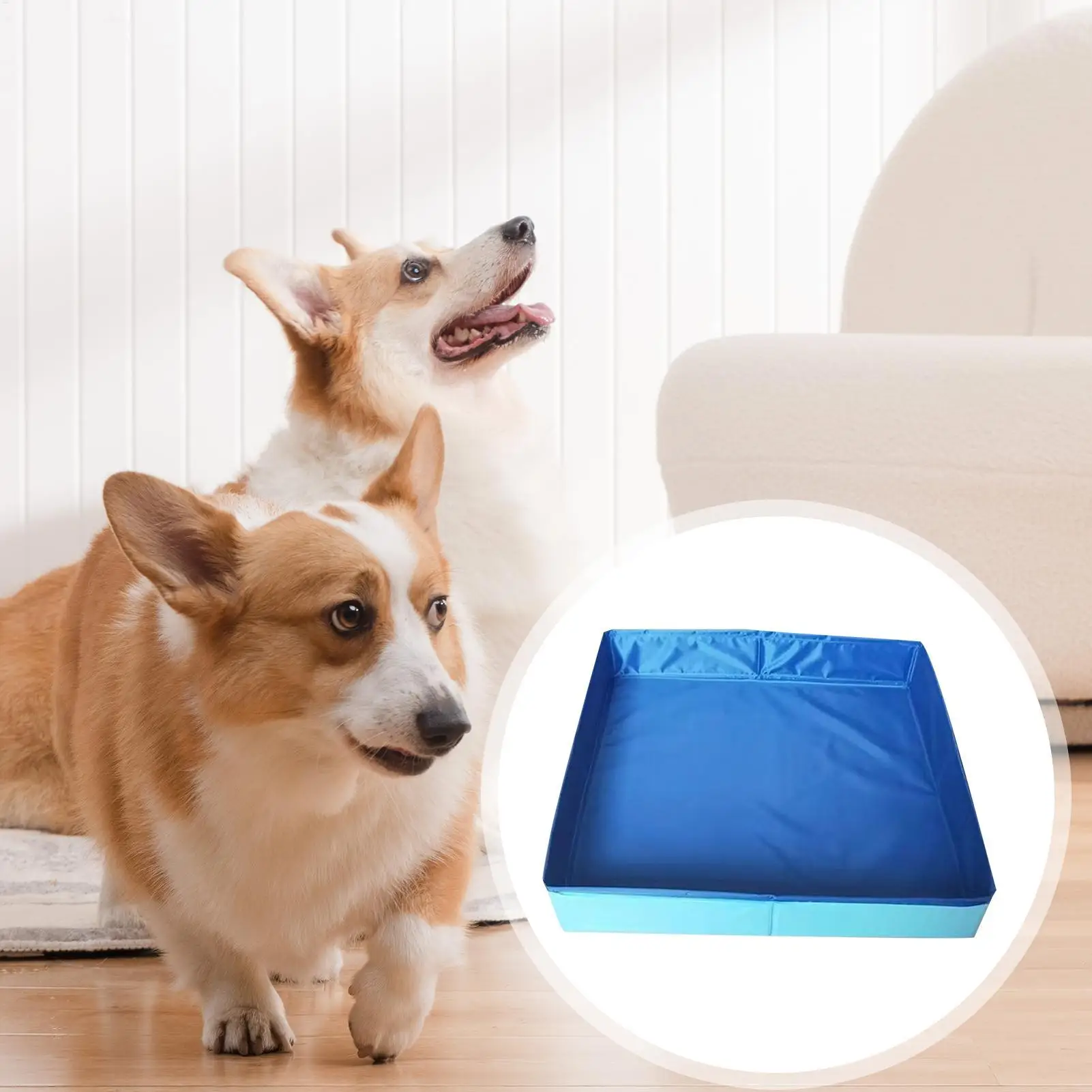 Piscina para perros Kiddie, piscina plegable de PVC, bañera para mascotas pequeñas, piscina para niños no inflable, bañera para cachorros y mascotas