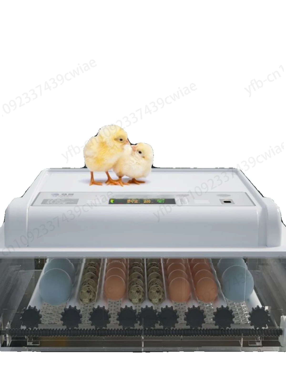 

[110V special] Small household automatic incubator chicken, duck, goose and pigeon egg incubator incubator