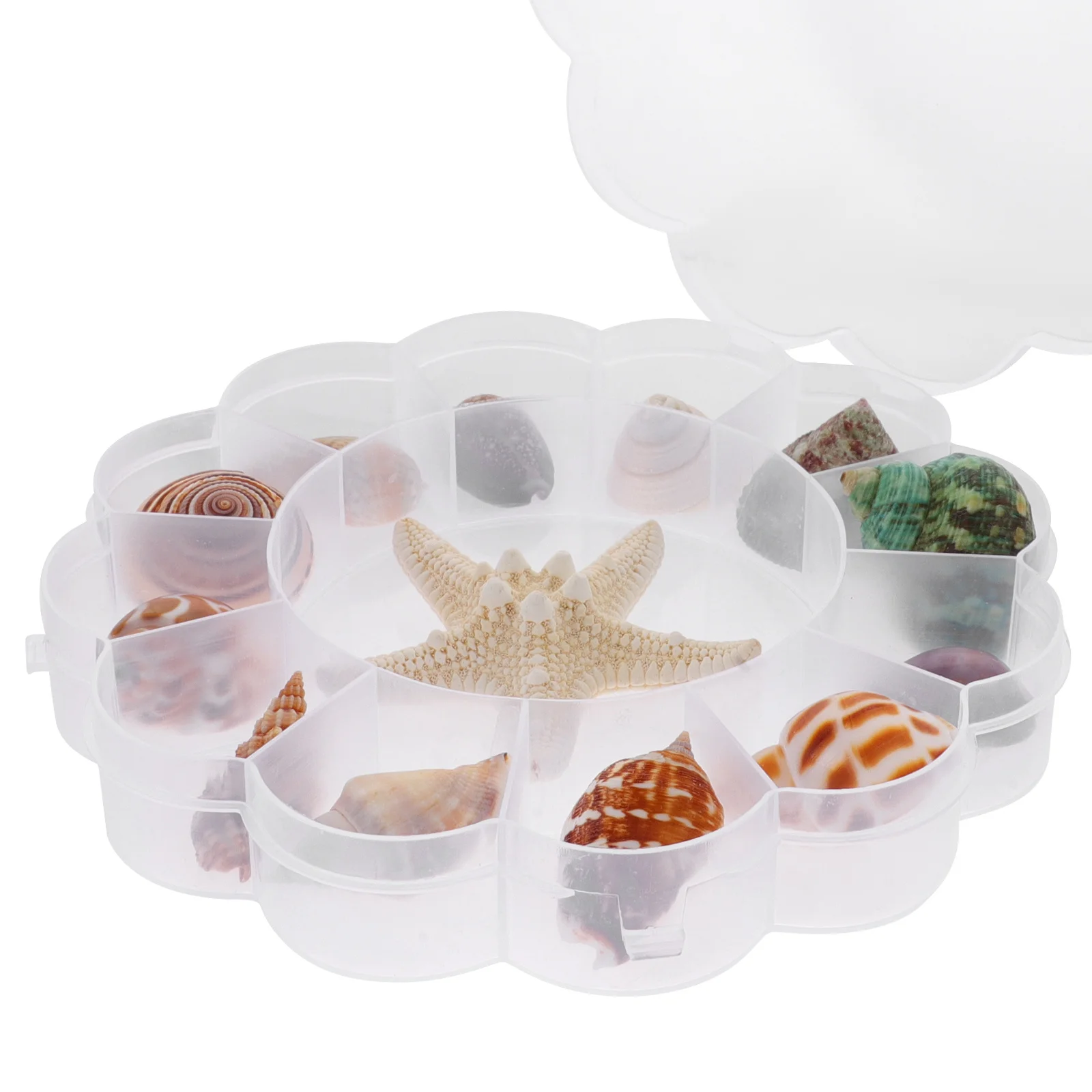 

13pcs Delicate Conch Adorn Creative Shell Decor Set for Desktop Aquarium Fish Tank Landscape Ocean Themed Craft Display