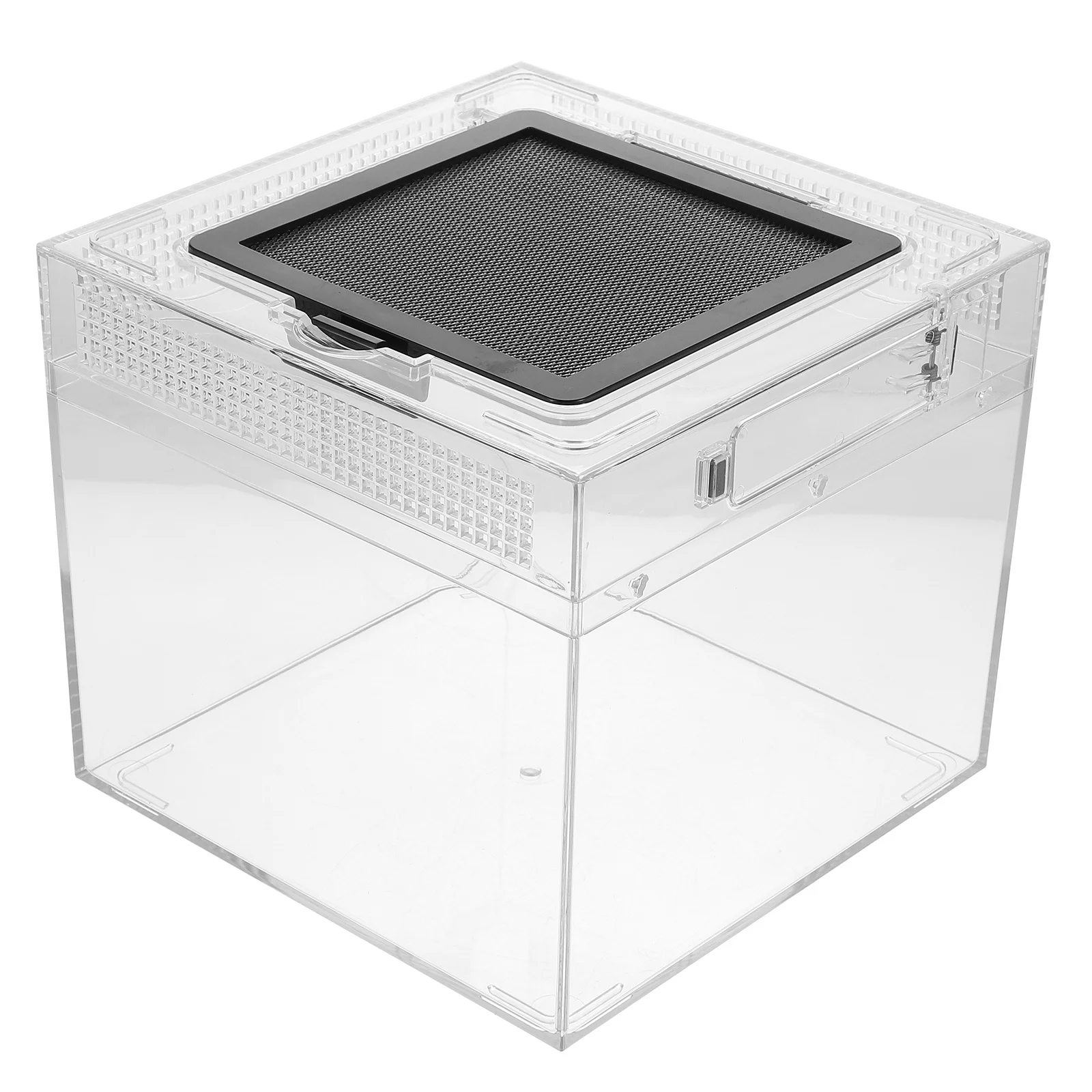 

1pc Reptile Feeding Box Medium Transparent Breeding Container For Turtle Spider Snake Scorpion Hermit Crab Lightweight