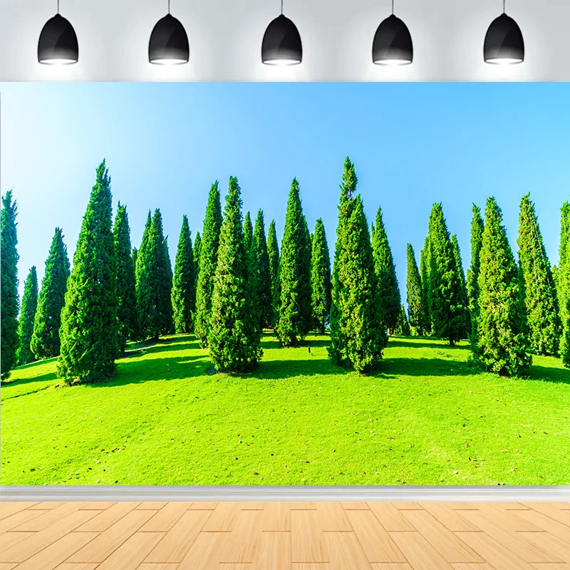 

Tranquil City Park Blue Sky Photography Backdrops Grass Landscape Bathed Morning Sunlight Garden Photo Background CG-04