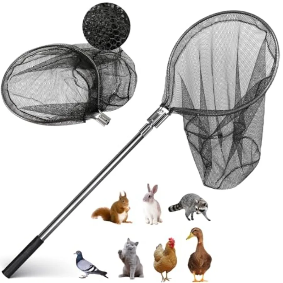 

Catch Net - Small Animal Catcher for Chicken, Duck, Goose, Fish, Cat, Bird, Raccoon, Dog and Others 43"-78" Handle with 20" Net