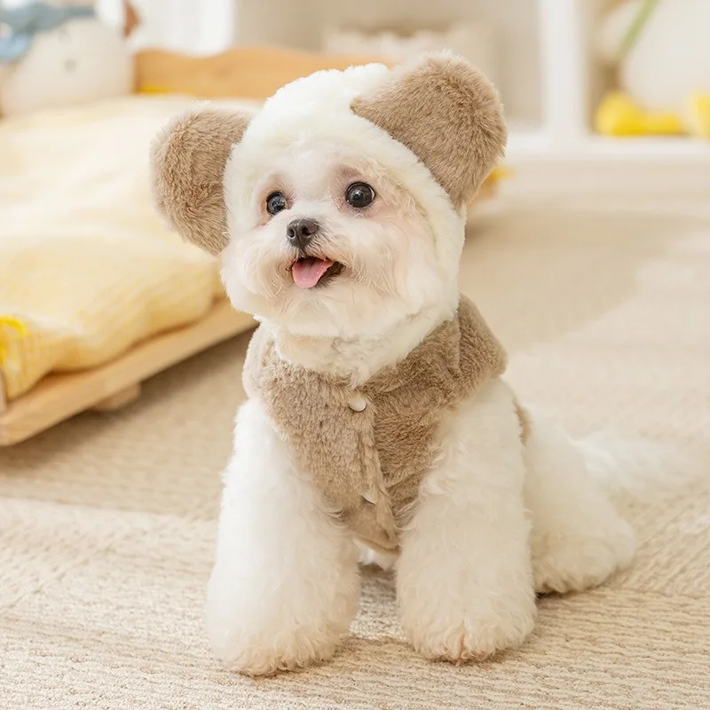 Autumn and Winter Ins Style Dog Clothes Cute Bear Two Legs Fleece Coat Thickened Warm Winter Teddy Pet Clothes Puppy Coat