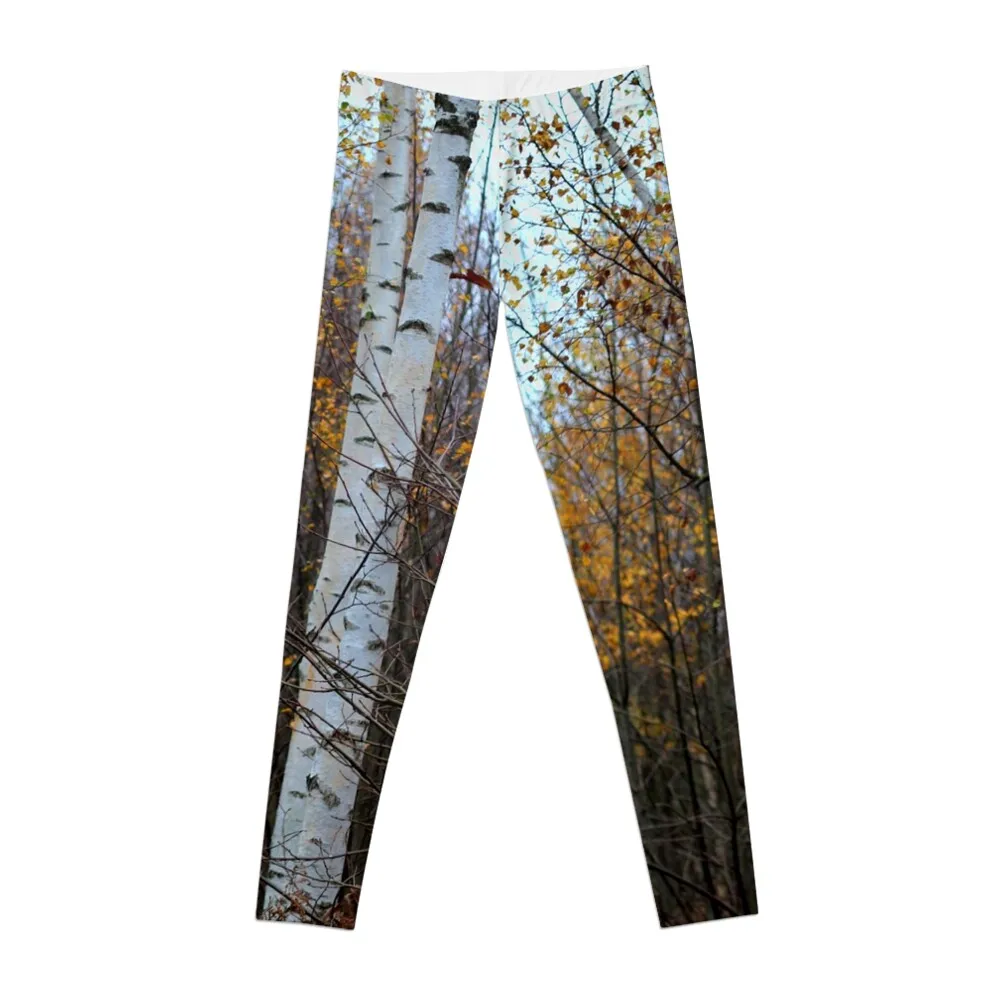 

Birch Trees in the Autumn Leggings high waist gym top sporty woman push up Training pants Womens Leggings