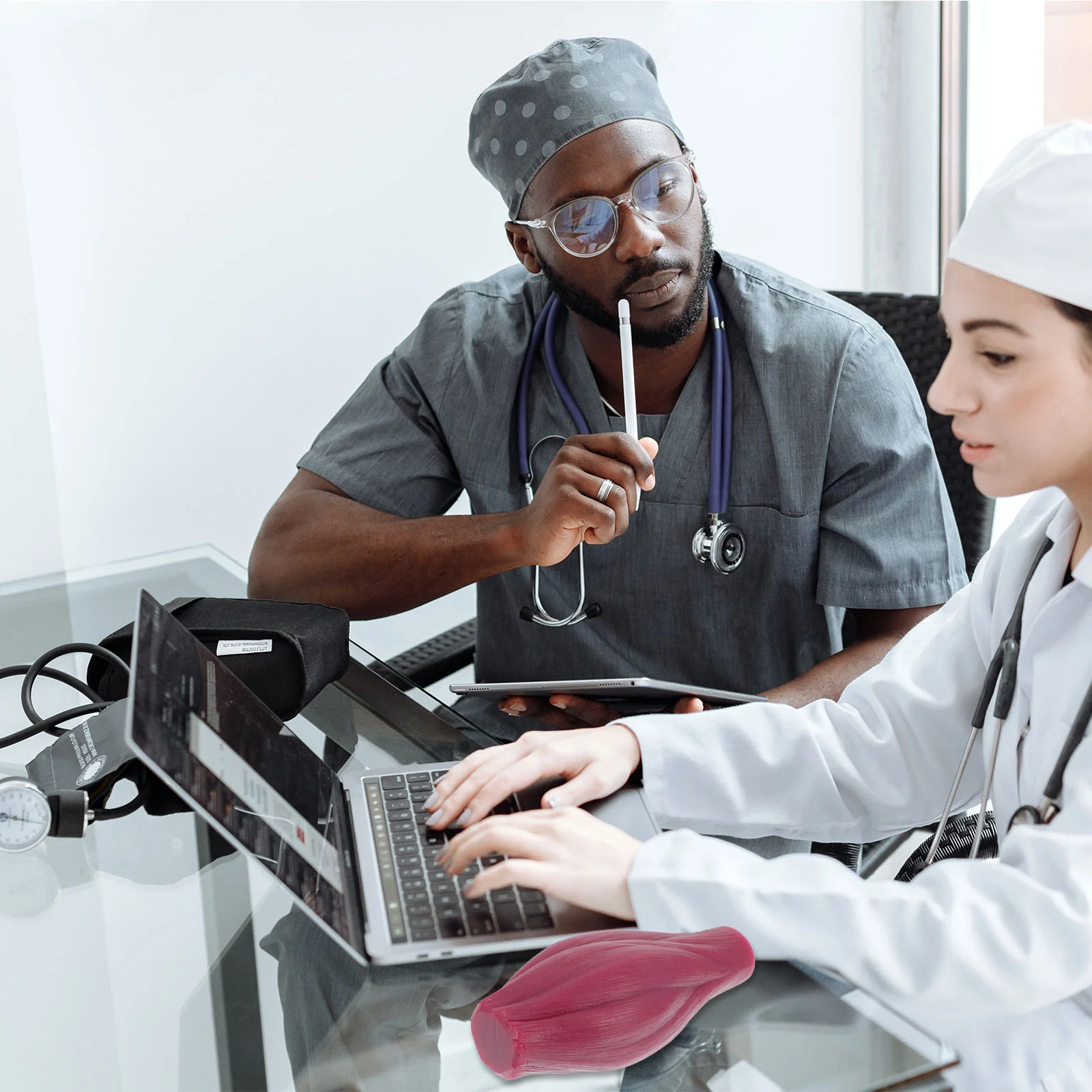 Muscle Learning Aid Model 1 Pound Replica Siphon Silica Gel Lb Human Body Child