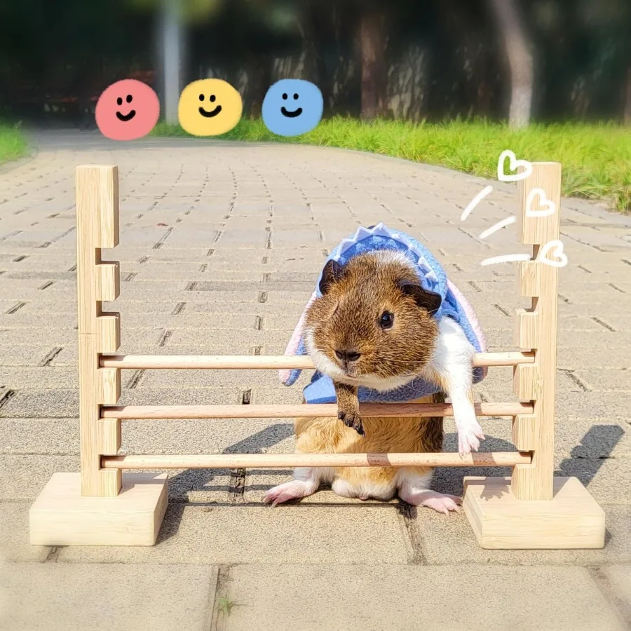 غينيا خنزير القفز بار تورال الخشب عقبة لعبة النشاط مجموعة ألعاب قابل للتعديل ارتفاع التدريب عقبات ممارسة ألعاب حيوانات صغيرة fo