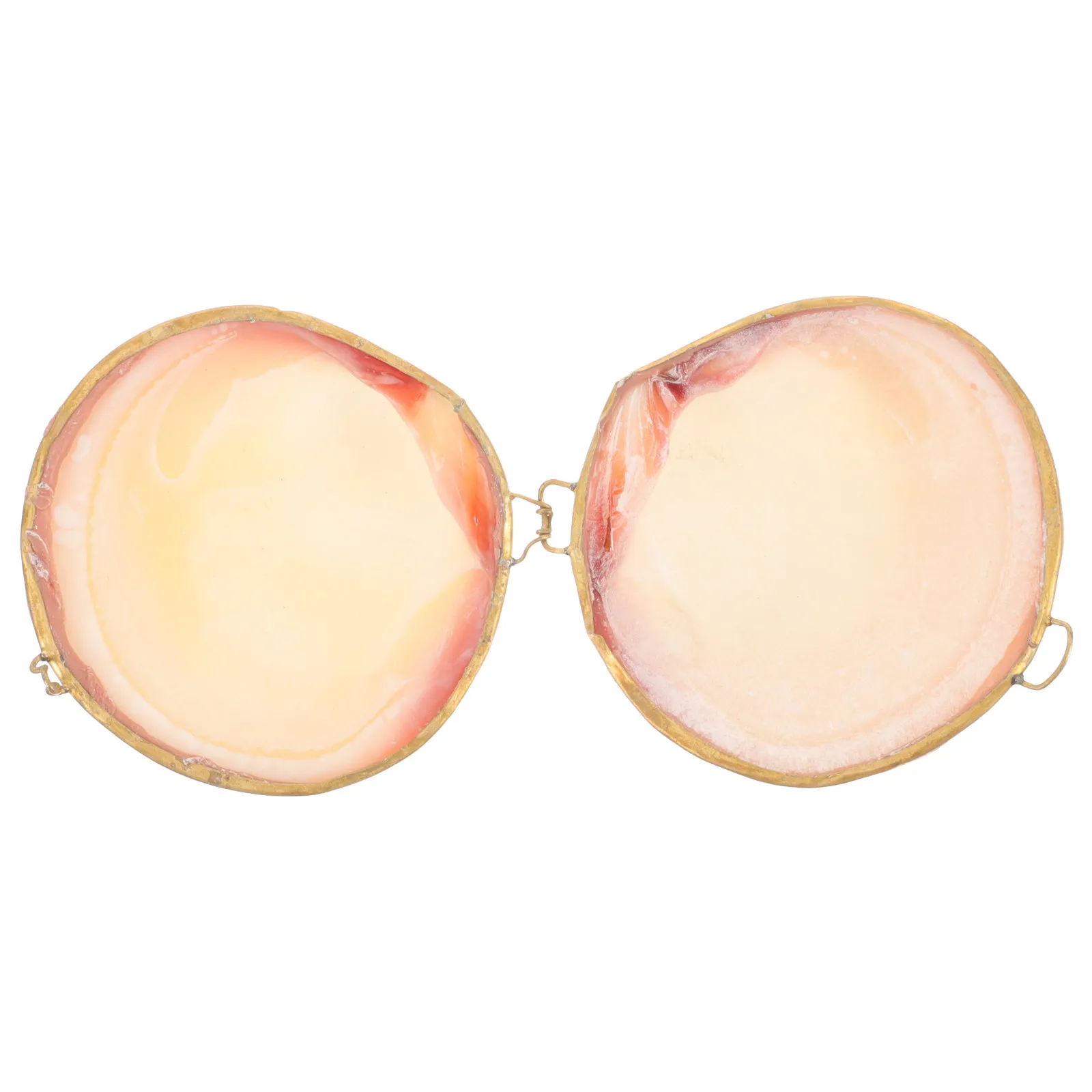 

Elegant Seashell Jewelry Box for Rings Necklaces Earrings Delicate Decorative Storage Organizer Gift Packaging for Wedding