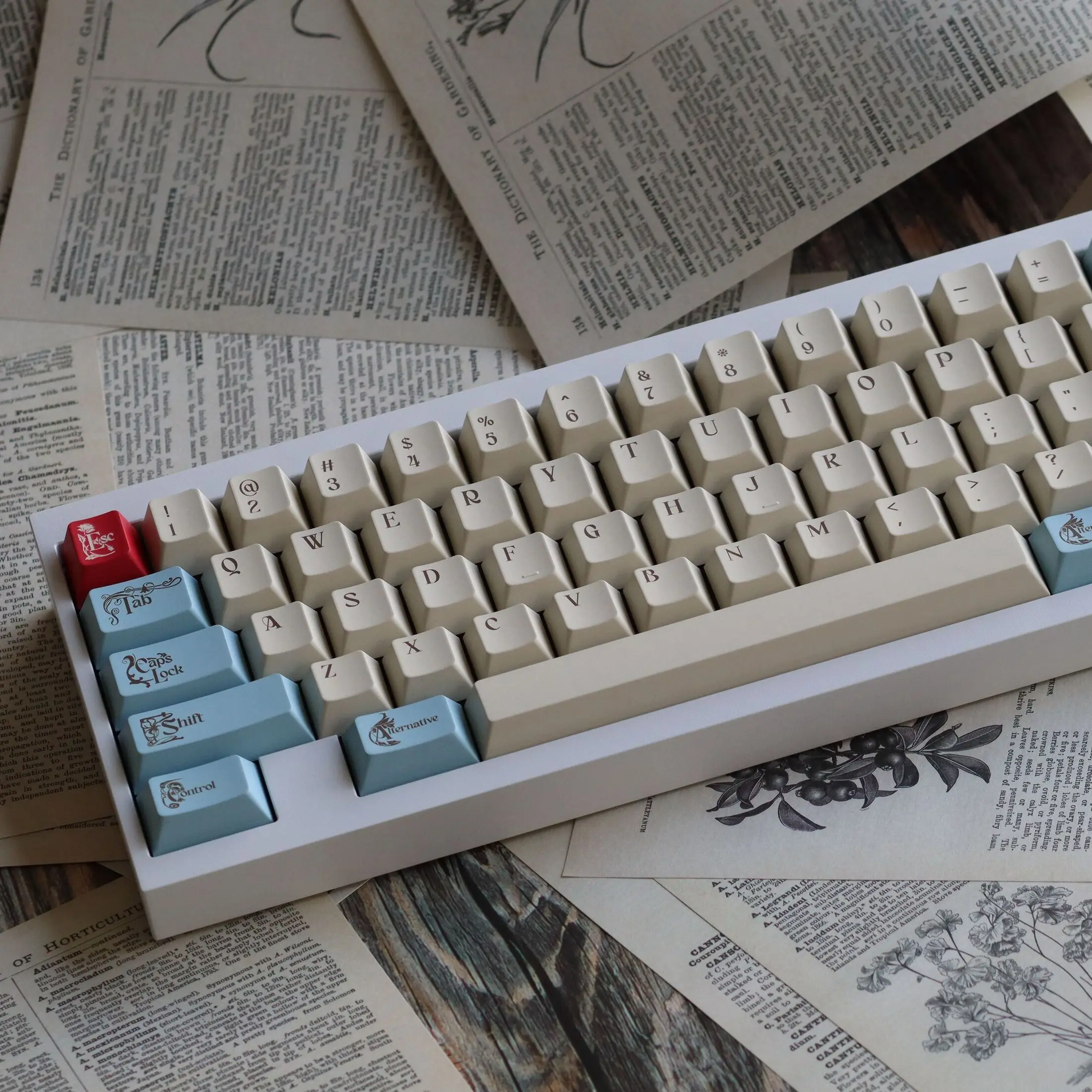 Why the Tofu60 V1 and V2 Are the Ultimate Mechanical Keyboard Kits