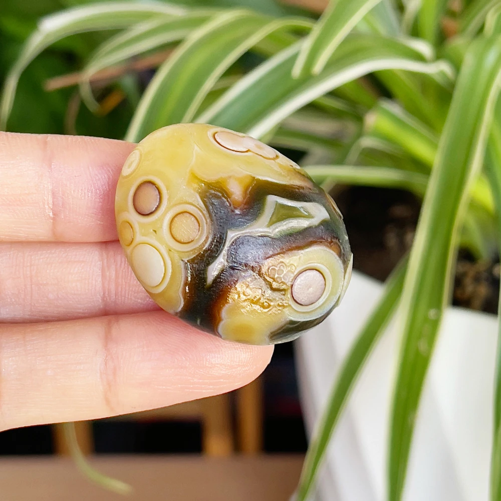 Natural Mongolia Agate Stone Pure Natural Beads For Jewellery Making Home Decor Natural Stones And Minerals Collection